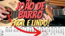 VÍDEO AULA: JOÃO DE BARRO PARA INICIANTES – SOLO DE VIOLA