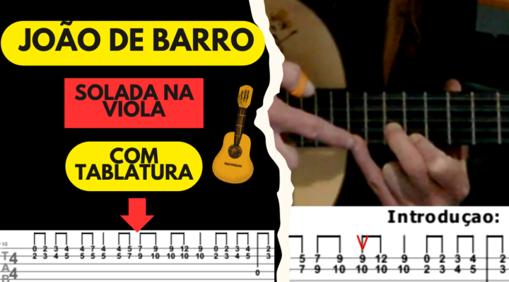 JOÃO DE BARRO – INSTRUMENTAL NA VIOLA