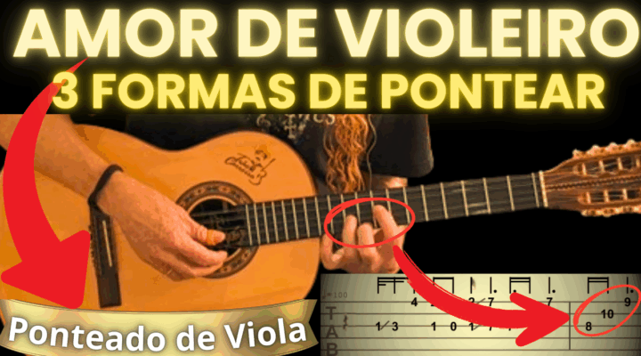 PONTEADO DE VIOLA – AMOR DE VIOLEIRO