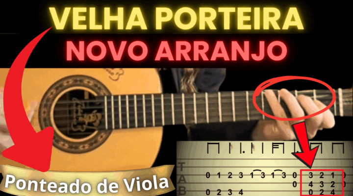 PONTEADO DE VIOLA – VELHA PORTEIRA