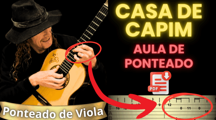 PONTEADO DE VIOLA – CASA DE CAPIM