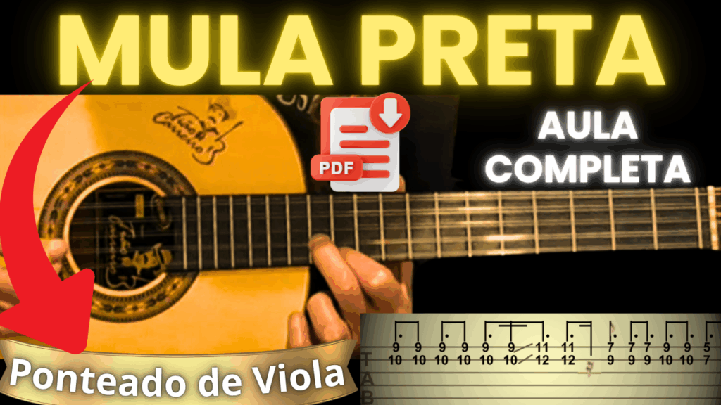 Cifra de Viola - Mula Preta