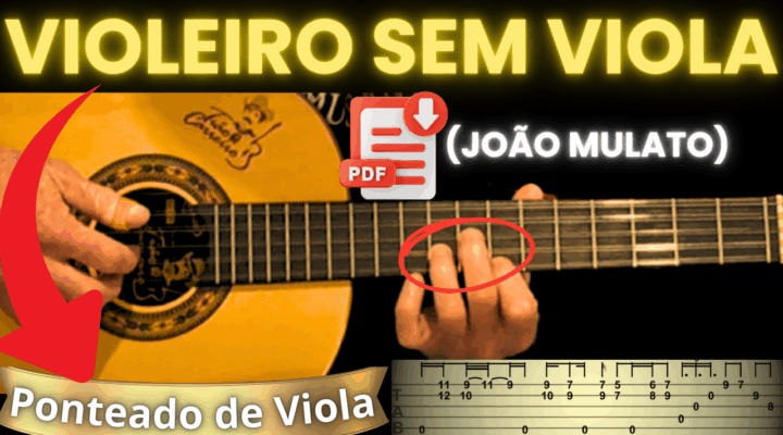 PONTEADO DE VIOLA – VIOLEIRO SEM VIOLA