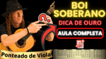 CIFRA DE VIOLA – BOI SOBERANO
