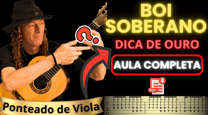 CIFRA DE VIOLA – BOI SOBERANO