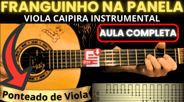 VIOLA CAIPIRA INSTRUMENTAL – FRANGUINHO NA PANELA