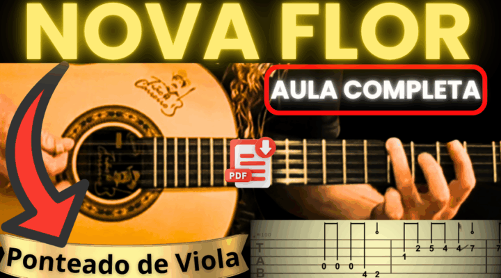 CIFRA DE VIOLA – NOVA FLOR