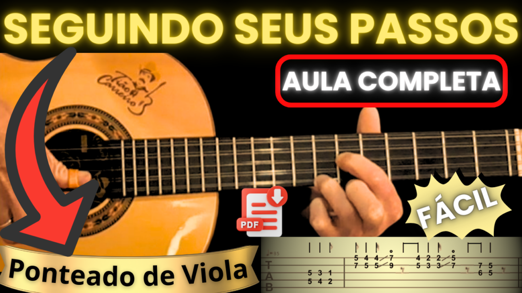 Cifra de Viola - Seguindo Seus Passos