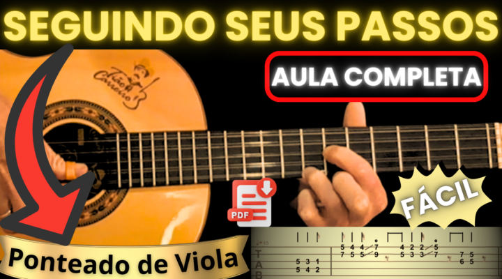 CIFRA DE VIOLA – SEGUINDO SEUS PASSOS