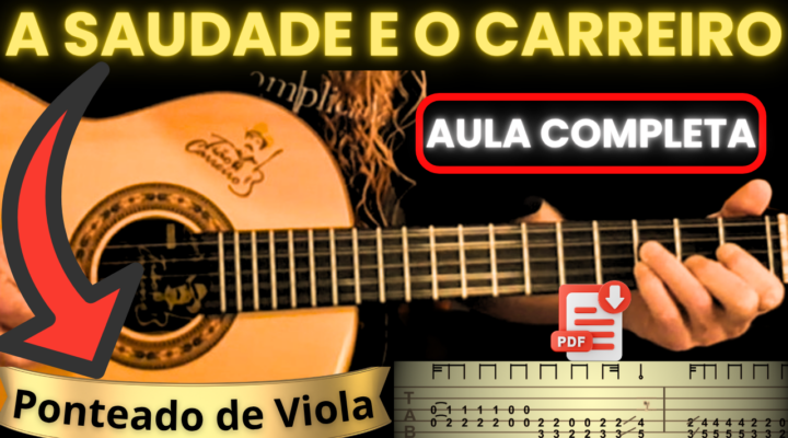 CIFRA DE VIOLA – A SAUDADE E O CARREIRO