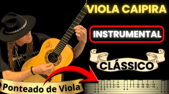 CIFRA DE VIOLA – MEU IPÊ FLORIDO