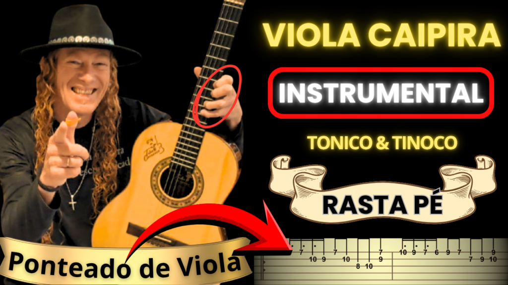 O Sanfoneiro Só Tocava Isso - Viola caipira Instrumental